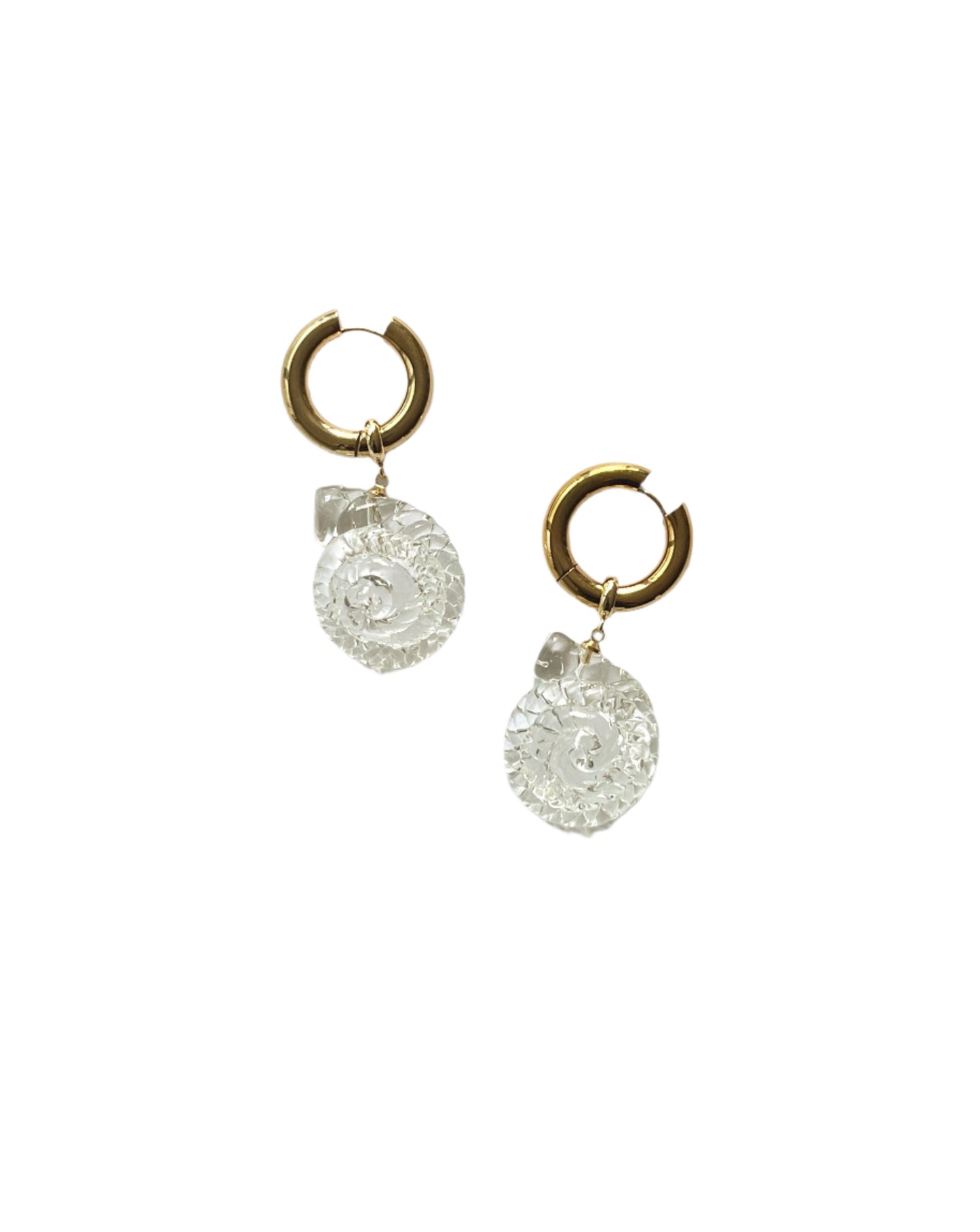 Ammonite Hoops