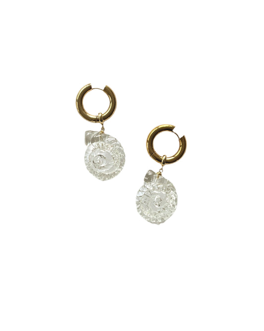 Ammonite Hoops